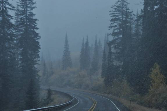 Começa a nevar na estrada que atravessa o North Cascades National Park, no estado de Washington, noroeste dos  Estados Unidos